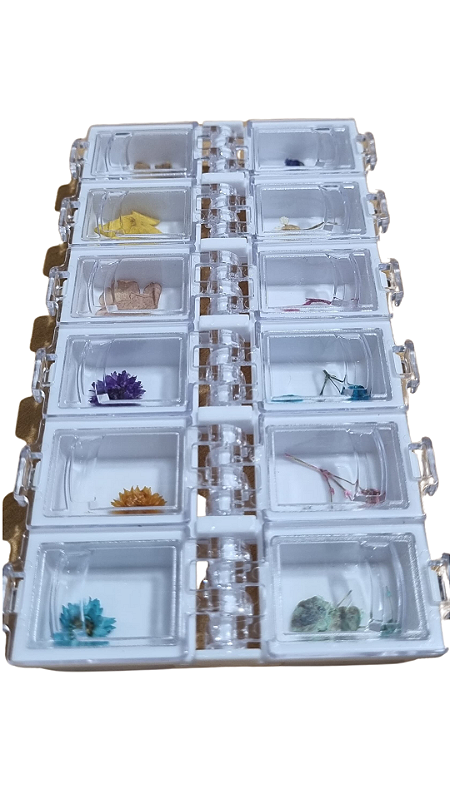 Estojo de Flores Secas Cores Variadas 12 Cápsulas Premium - Imagem 2